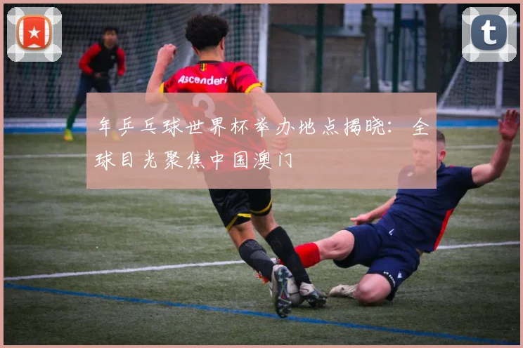 年乒乓球世界杯举办地点揭晓：全球目光聚焦中国澳门